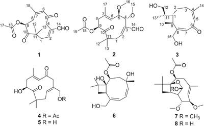 New Bioactive Sesquiterpeniods From the Plant Endophytic Fungus Pestalotiopsis theae